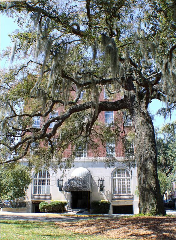 Savannah Historic District Loft property image