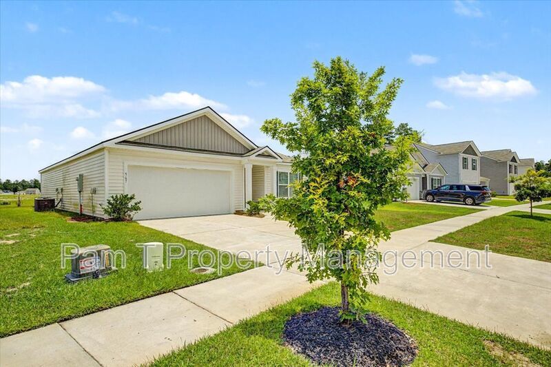Brand new 3 bedroom home in Bloomingdale property image