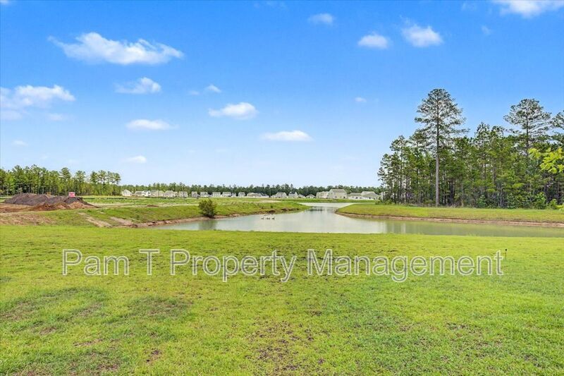 Brand new 3 bedroom home in Bloomingdale property image